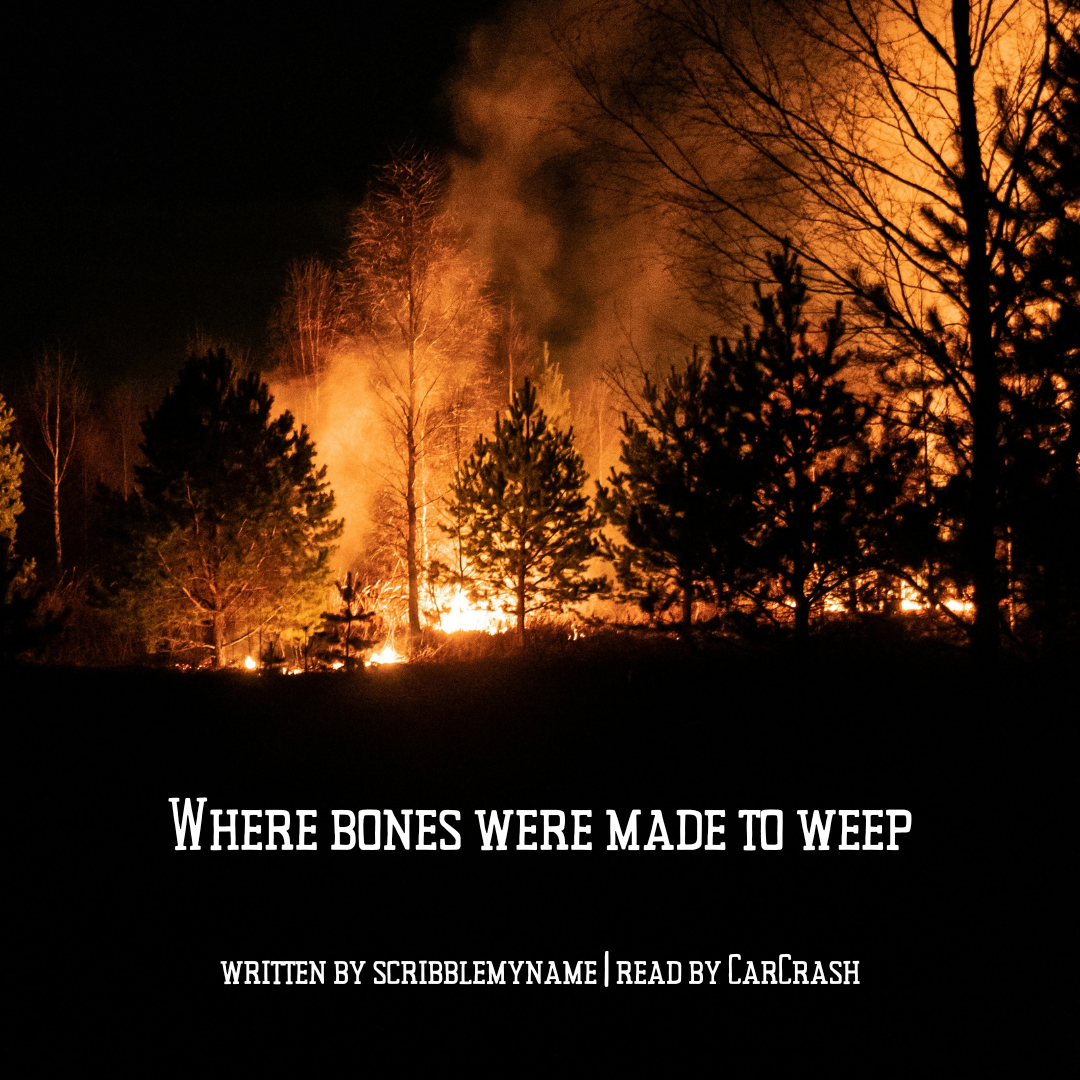 bonestoweep